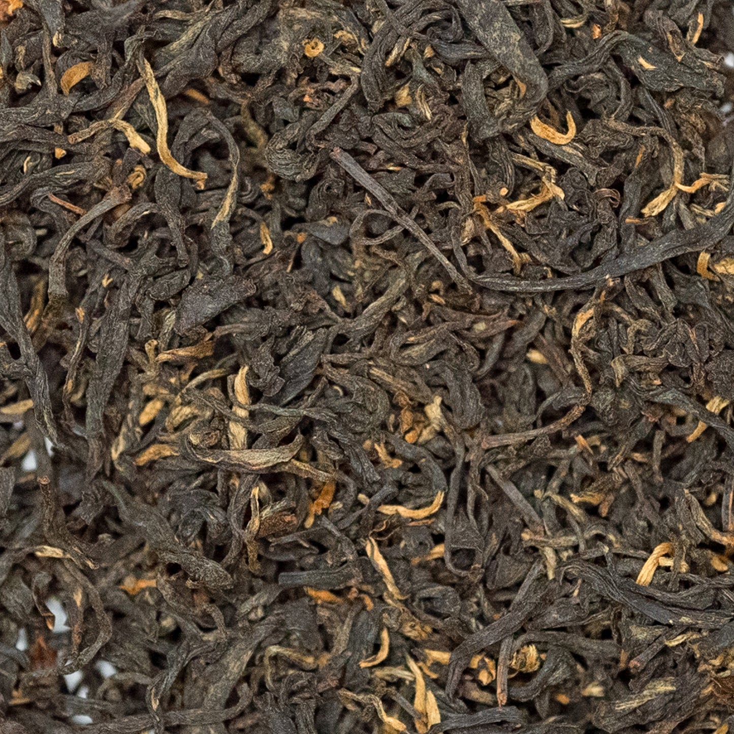 Gaba Black