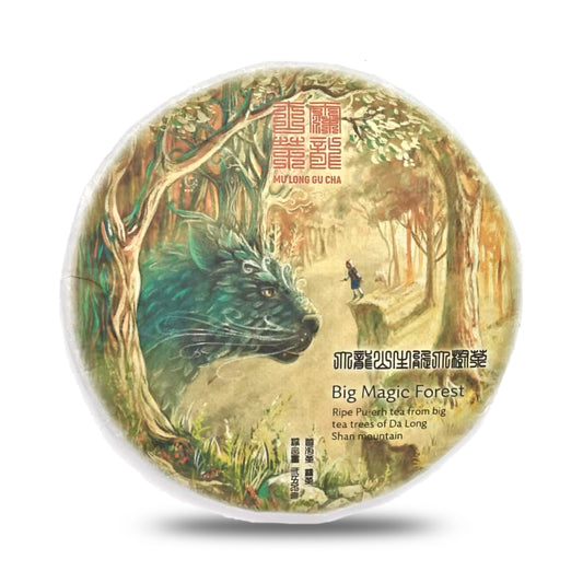 Big Magic Forest