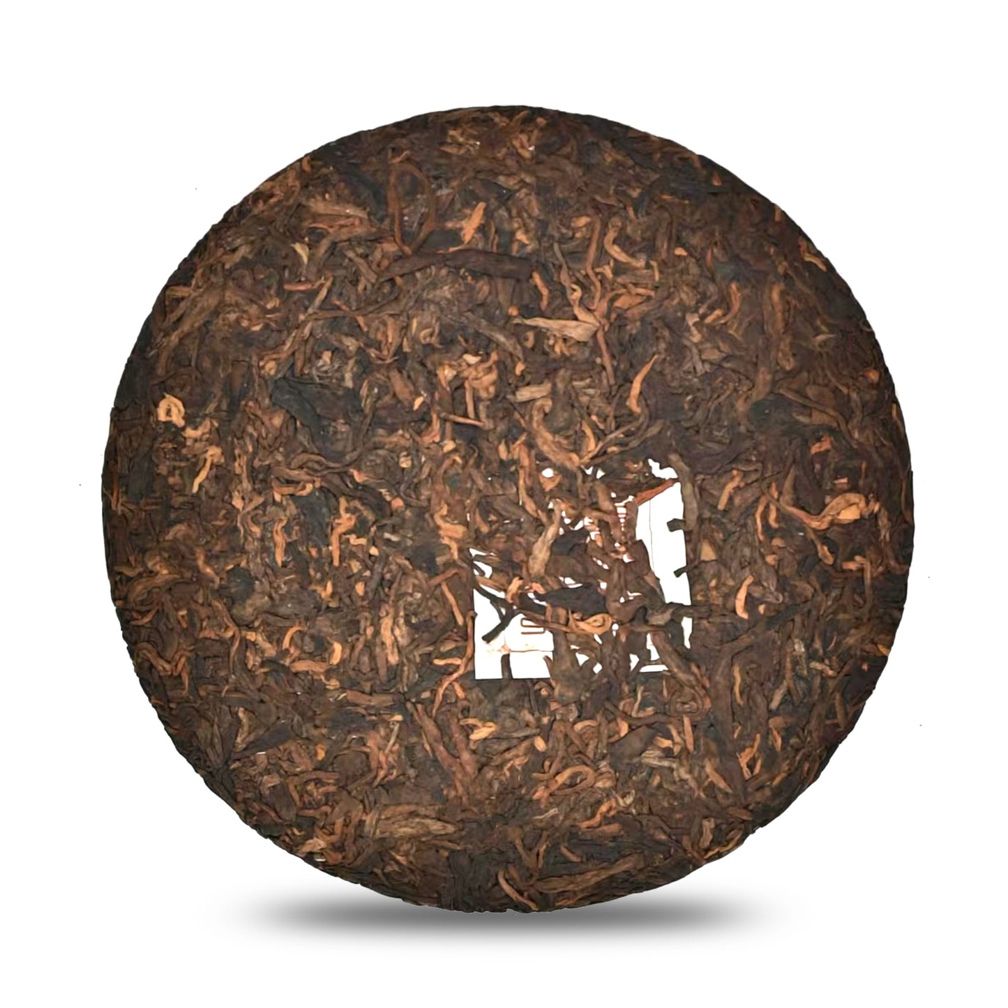 Dao Shi 2023