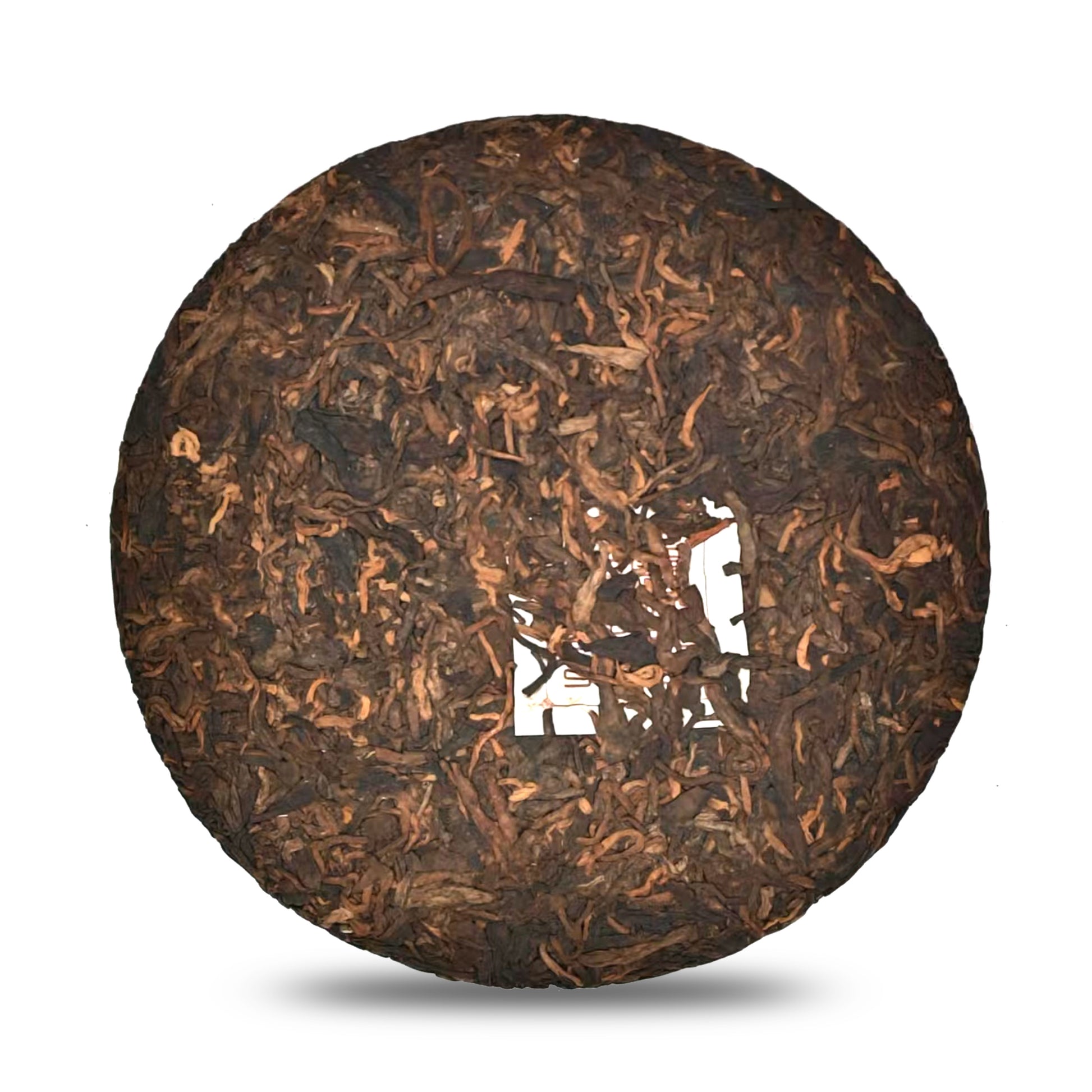 Dao Shi 2023