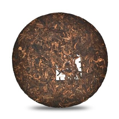 Dao Shi 2023