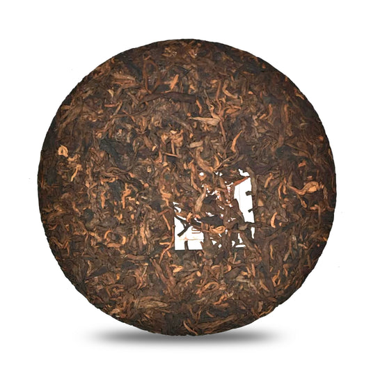 Dao Shi 2023